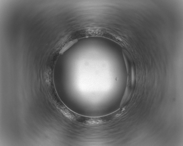 X0000059100712200510071144