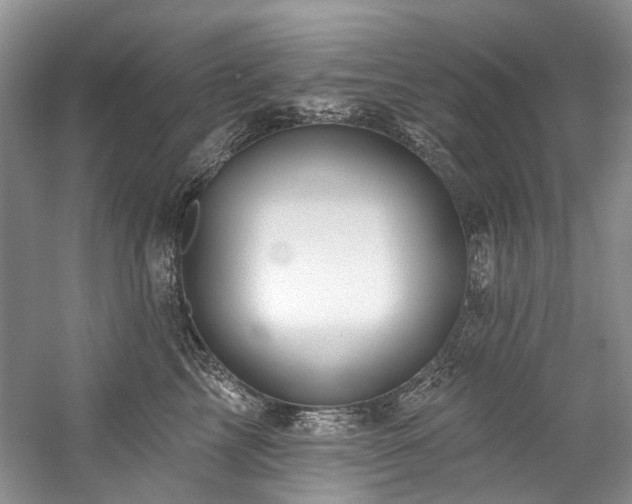 X0000059100713200510071144