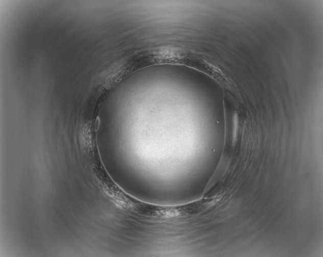 X0000059100715200510071144