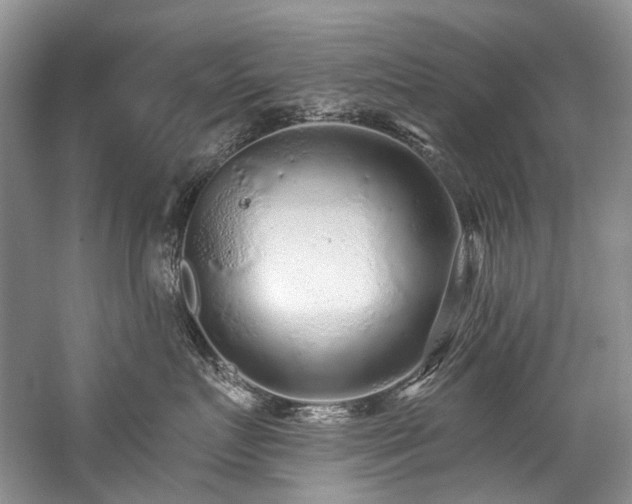 X0000059100719200510071144