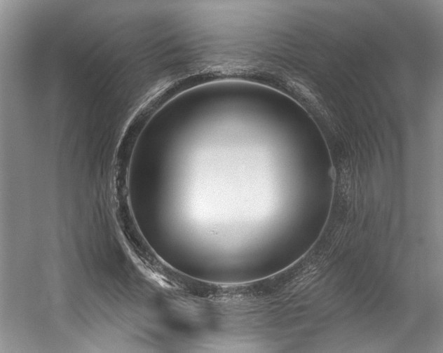 X0000059100730200510071143