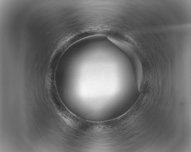 X0000059100736200510071143