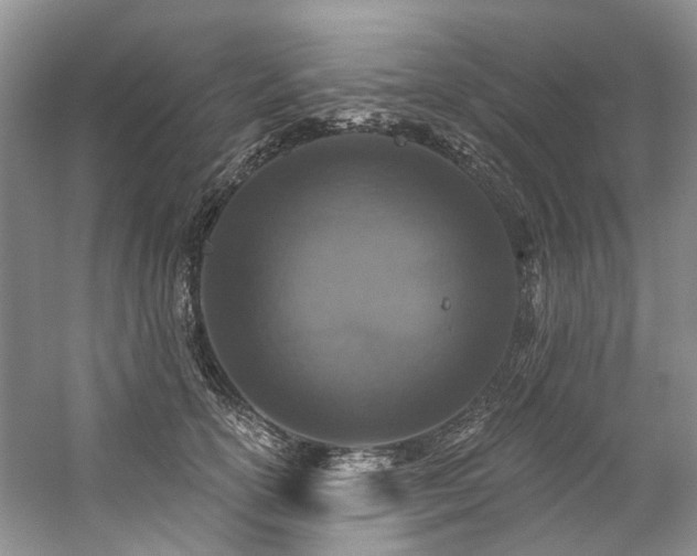 X0000059100754200510071144
