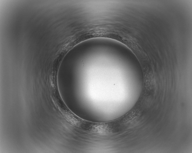 X0000059100755200510071144
