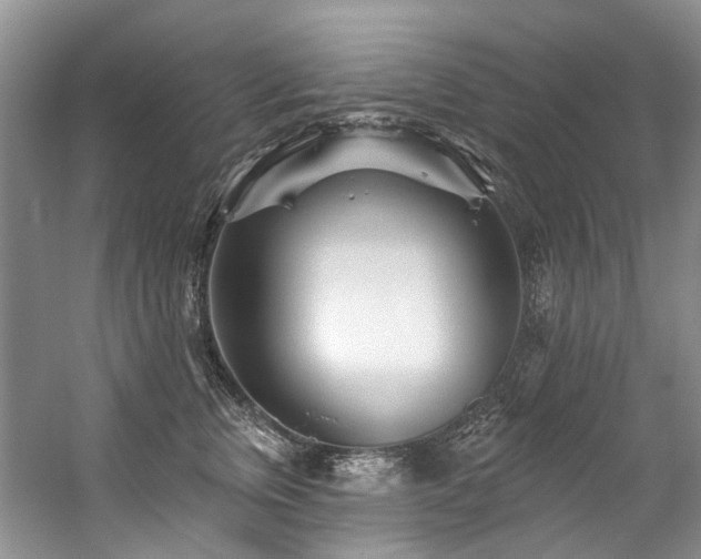 X0000059100759200510071144