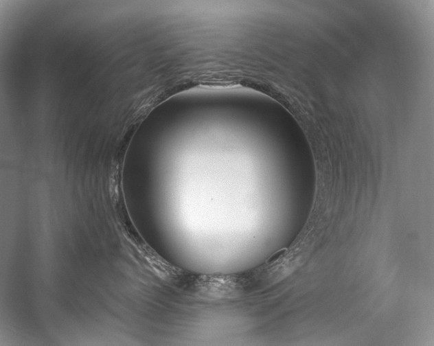 X0000059100768200510071144
