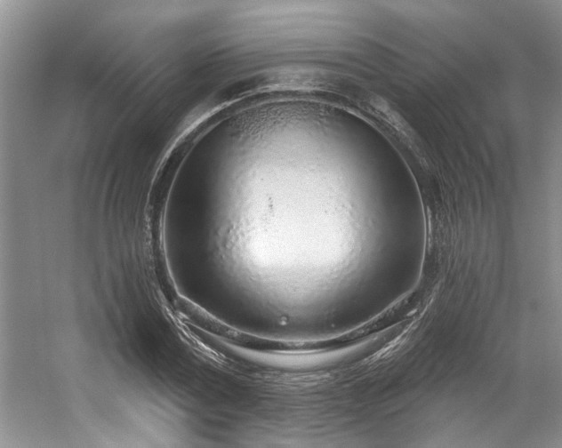 X0000059100779200510071143