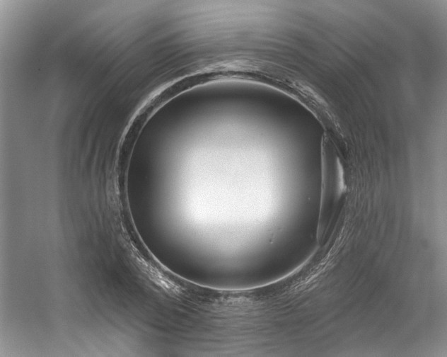 X0000059100784200510071143