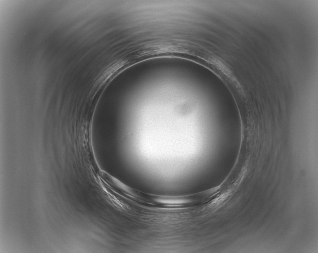 X0000059100793200510071143