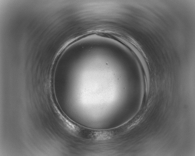 X0000059100803200510071142