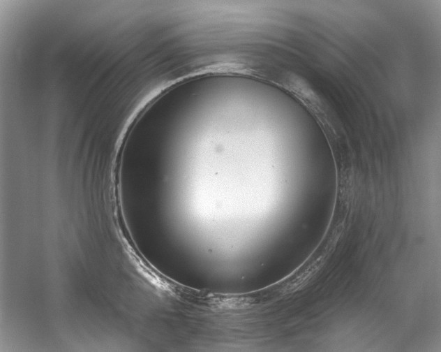 X0000059100808200510071142