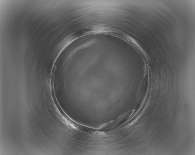 X0000059100810200510071142