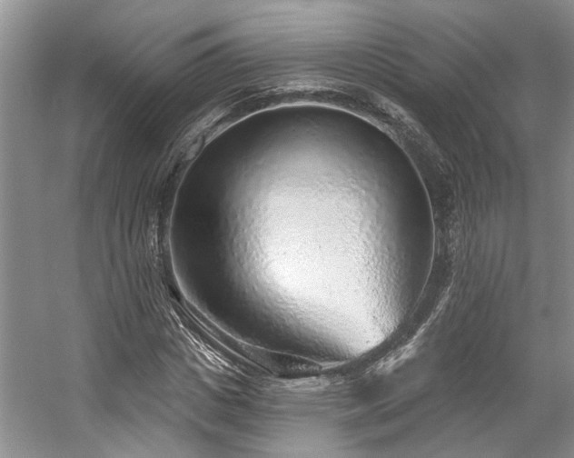 X0000059100825200510071141