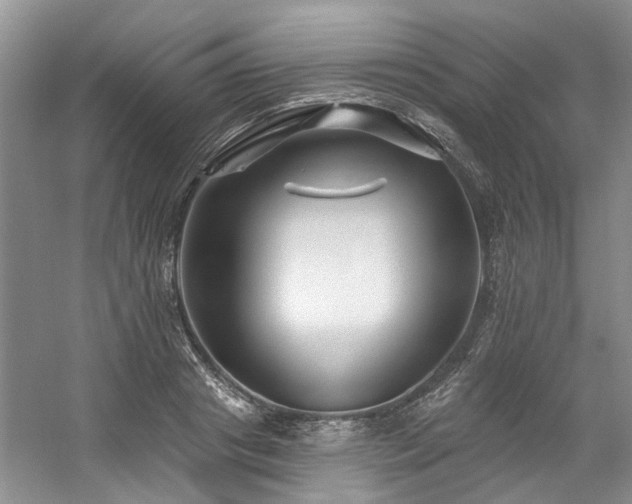 X0000059100841200510071142