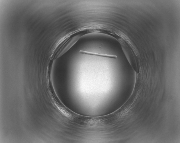 X0000059100842200510071142