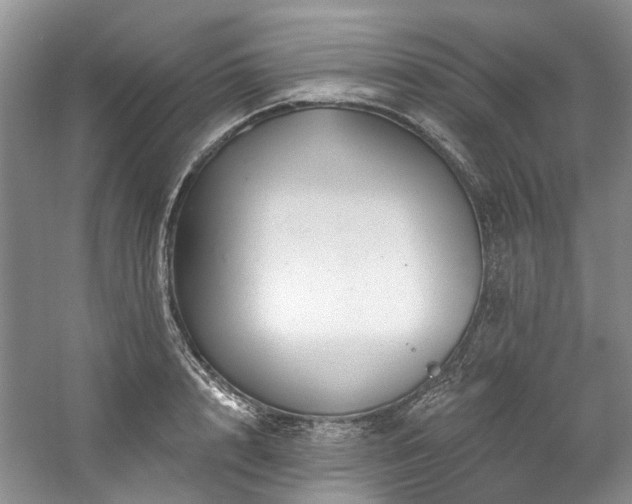X0000059100848200510071142