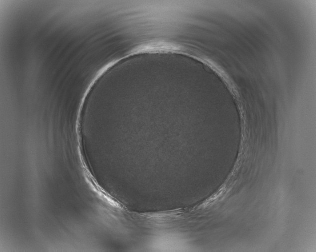 X0000059100864200510071142