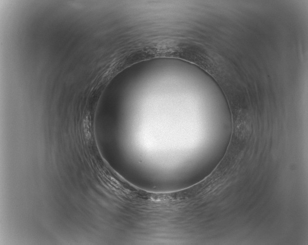 X0000059100866200510071141