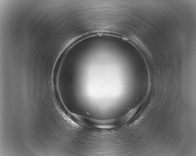 X0000059100884200510071141
