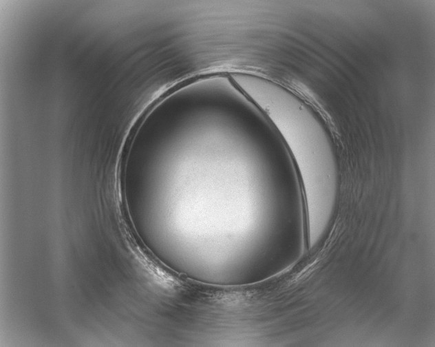 X0000059100892200510071141
