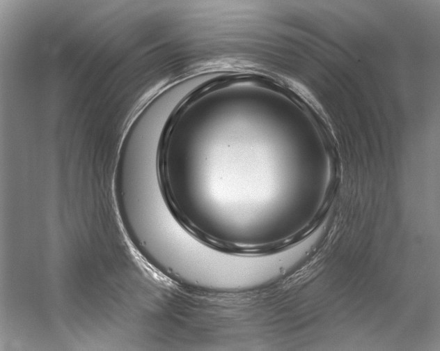 X0000059100946200510071140