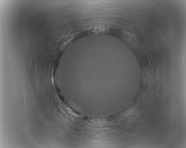 X0000059100962200510071140