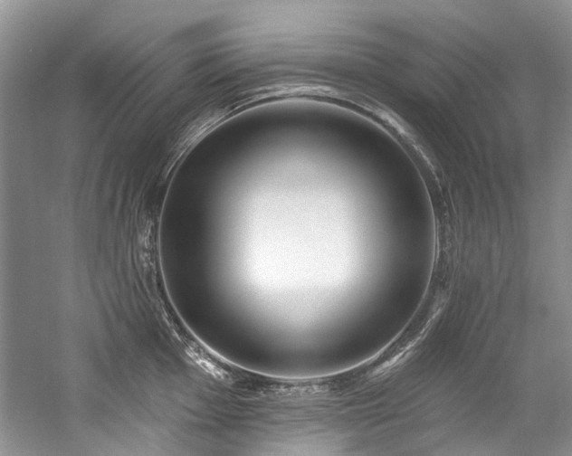 X0000059101001200510071139