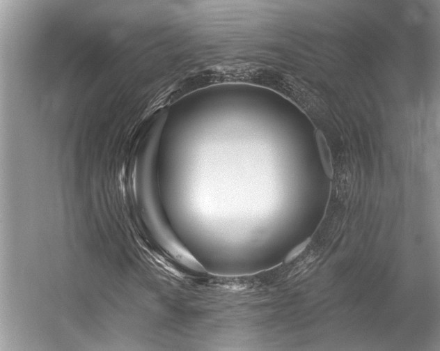 X0000059101010200510071138