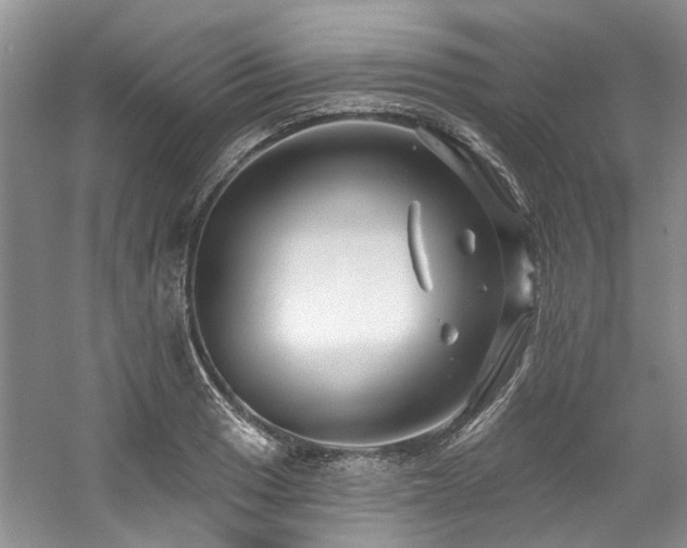 X0000059101033200510071138