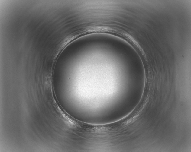 X0000059101041200510071139