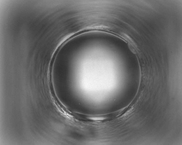X0000059101044200510071139