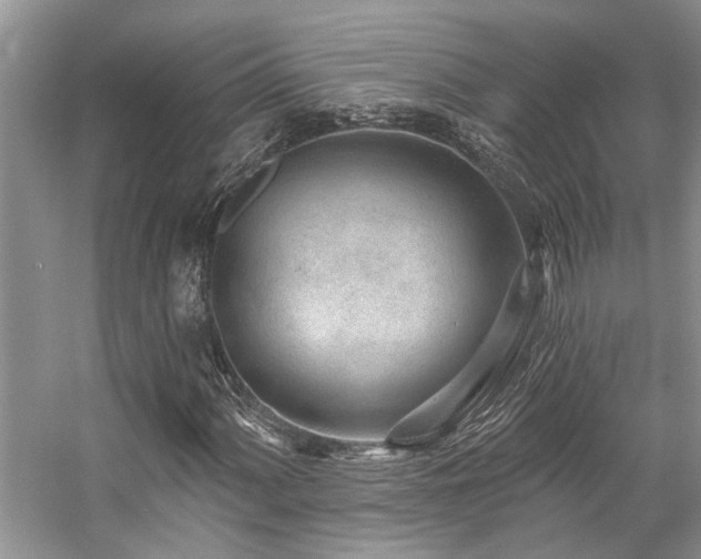X0000059101060200510071138