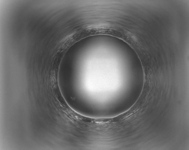 X0000059101062200510071138