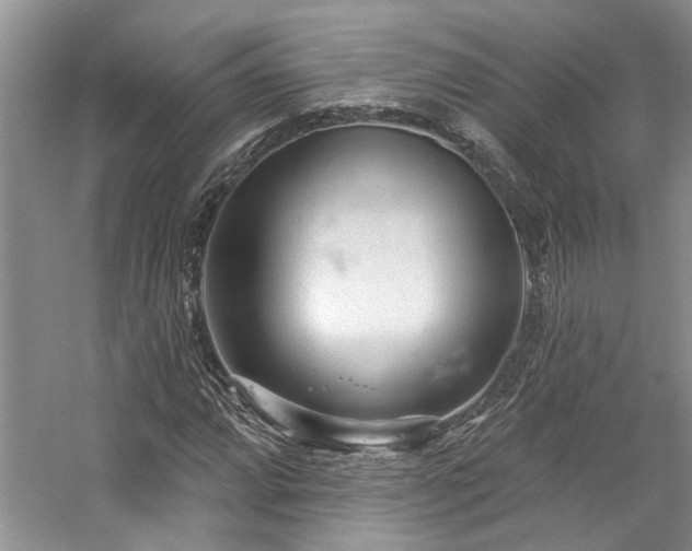 X0000059101064200510071138