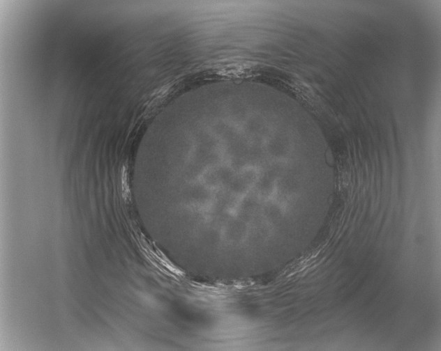 X0000059101106200510071136