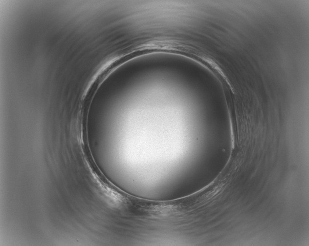 X0000059101131200510071137