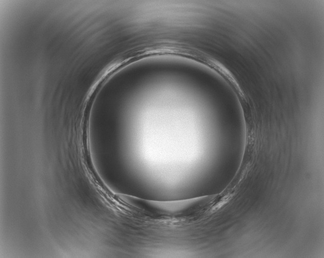 X0000059101146200510071137