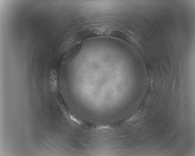 X0000059101154200510071136