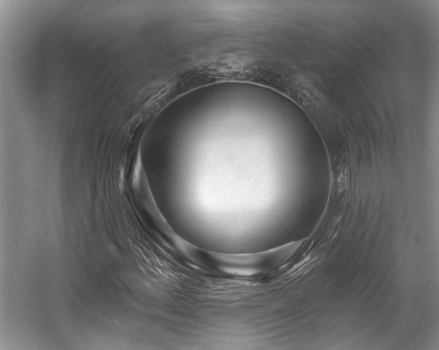 X0000059101156200510071136