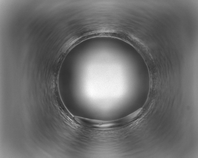 X0000059101169200510071136