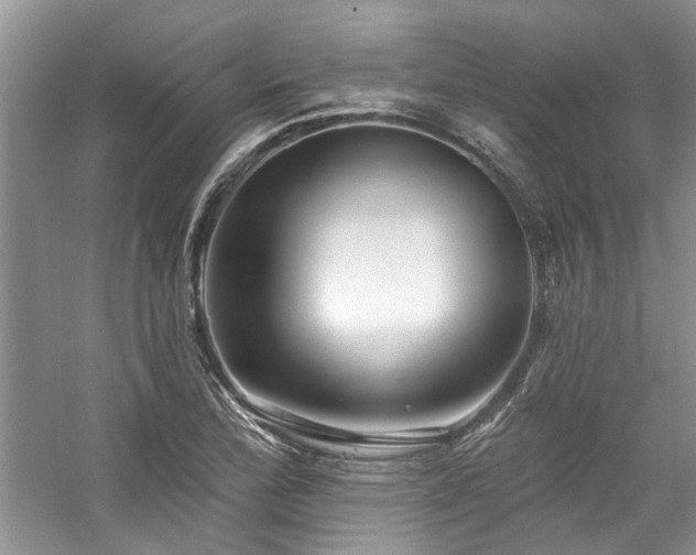 X0000059101172200510071136