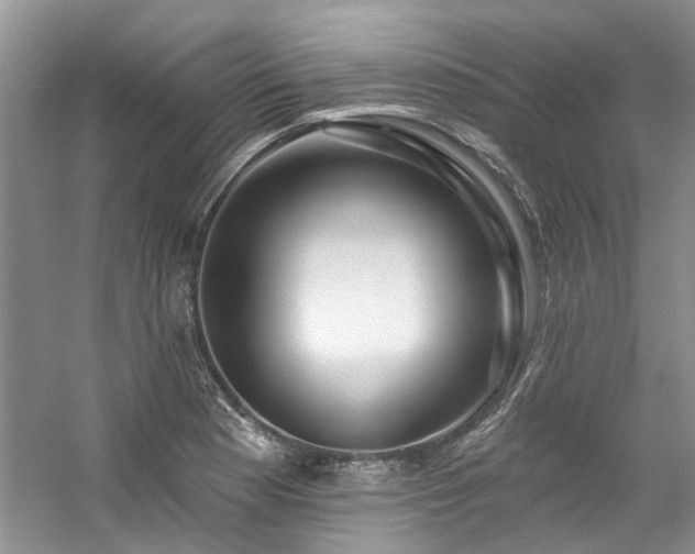 X0000059101177200510071136