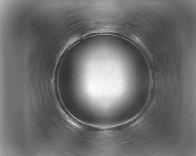 X0000059101181200510071136