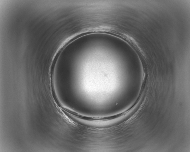X0000059101184200510071136