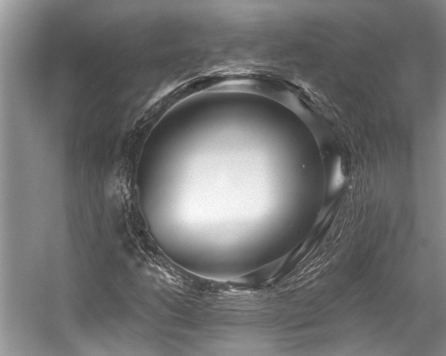 X0000059101206200510071135