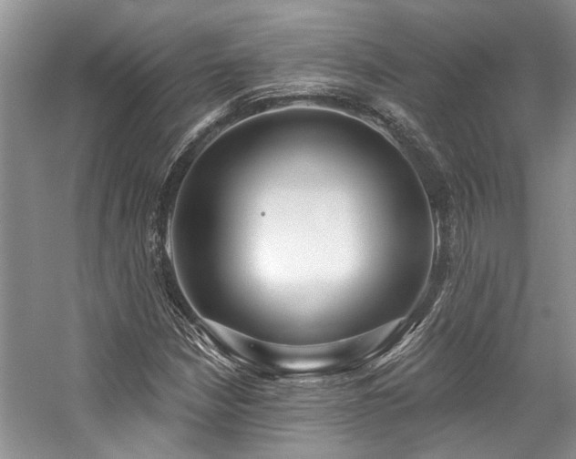 X0000059101210200510071135