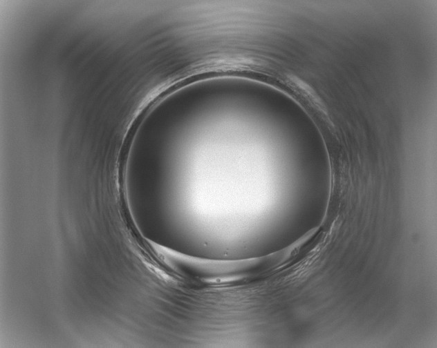 X0000059101226200510071135