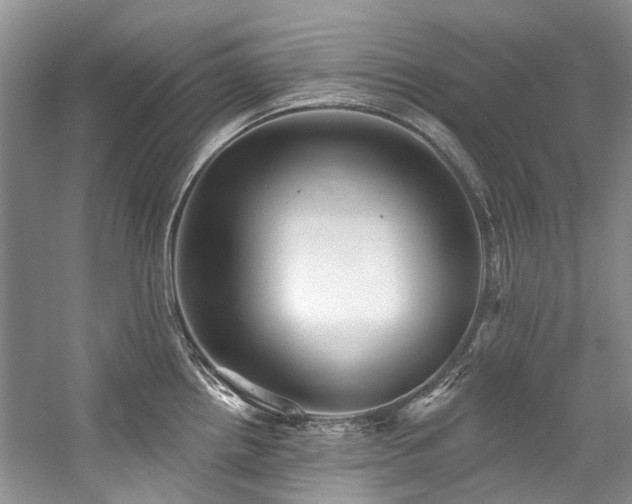 X0000059101242200510071135