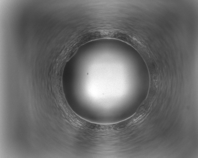 X0000059101249200510071135