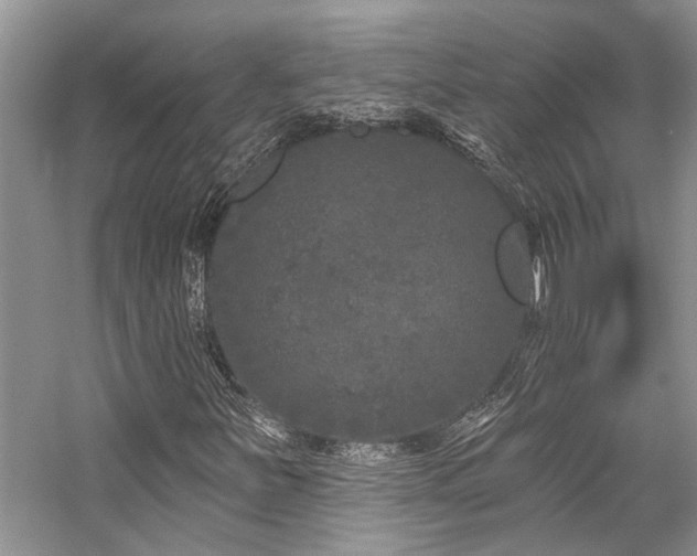 X0000059101251200510071135
